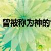 曾被称为神的龟（关于曾被称为神的龟介绍）
