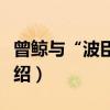曾鲸与“波臣派”（关于曾鲸与“波臣派”介绍）
