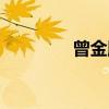 曾金胜（关于曾金胜介绍）