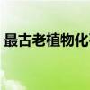 最古老植物化石（关于最古老植物化石介绍）