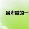 最卑微的一族（关于最卑微的一族介绍）