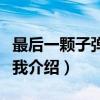 最后一颗子弹留给我（关于最后一颗子弹留给我介绍）