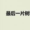 最后一片树叶（关于最后一片树叶介绍）