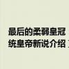 最后的柔弱皇冠：宣统皇帝新说（关于最后的柔弱皇冠：宣统皇帝新说介绍）