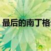 最后的南丁格尔（关于最后的南丁格尔介绍）