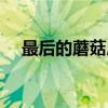 最后的蘑菇房（关于最后的蘑菇房介绍）
