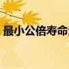 最小公倍寿命法（关于最小公倍寿命法介绍）