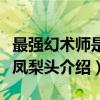 最强幻术师是个凤梨头（关于最强幻术师是个凤梨头介绍）