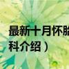 最新十月怀胎大百科（关于最新十月怀胎大百科介绍）