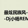 最炫民族风-Dj小杨REMIX（关于最炫民族风-Dj小杨REMIX介绍）