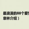 最浪漫的88个爱情故事-意林（关于最浪漫的88个爱情故事-意林介绍）