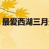 最爱西湖三月天（关于最爱西湖三月天介绍）