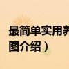最简单实用养生挂图（关于最简单实用养生挂图介绍）