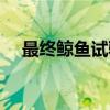 最终鲸鱼试验（关于最终鲸鱼试验介绍）