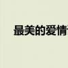 最美的爱情诗（关于最美的爱情诗介绍）