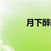 月下醉题（关于月下醉题介绍）