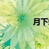 月下蝉（关于月下蝉介绍）