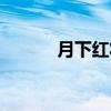 月下红妆（关于月下红妆介绍）