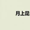 月上昆仑（关于月上昆仑介绍）