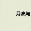 月亮与海（关于月亮与海介绍）