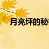 月亮坪的秘密（关于月亮坪的秘密介绍）
