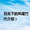 月光下的凤尾竹－纯真年代（关于月光下的凤尾竹－纯真年代介绍）