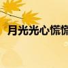 月光光心慌慌8（关于月光光心慌慌8介绍）