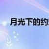 月光下的约定（关于月光下的约定介绍）