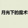 月光下的魔术师（关于月光下的魔术师介绍）