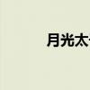 月光太子（关于月光太子介绍）