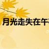 月光走失在午夜（关于月光走失在午夜介绍）