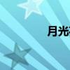 月光花（关于月光花介绍）