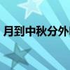 月到中秋分外明（关于月到中秋分外明介绍）