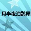 月半夜泊鹊尾诗（关于月半夜泊鹊尾诗介绍）