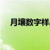 月壤数字样品（关于月壤数字样品介绍）