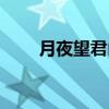 月夜望君山（关于月夜望君山介绍）