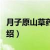 月子原山草药浴包（关于月子原山草药浴包介绍）