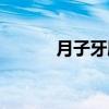月子牙刷（关于月子牙刷介绍）