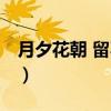 月夕花朝 留不住（关于月夕花朝 留不住介绍）