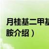 月桂基二甲基氧化胺（关于月桂基二甲基氧化胺介绍）