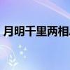月明千里两相思（关于月明千里两相思介绍）