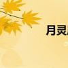 月灵犀（关于月灵犀介绍）
