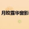 月皎露华窗影细（关于月皎露华窗影细介绍）