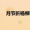 月节折杨柳歌（关于月节折杨柳歌介绍）