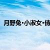 月野兔·小淑女·倩妮迪（关于月野兔·小淑女·倩妮迪介绍）