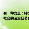 有一种力量：转型社会的法治细节（关于有一种力量：转型社会的法治细节介绍）