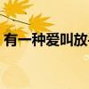 有一种爱叫放手（关于有一种爱叫放手介绍）