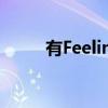 有Feeling（关于有Feeling介绍）