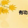 有功用（关于有功用介绍）