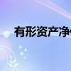 有形资产净值（关于有形资产净值介绍）